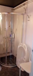 a bathroom with a shower and a toilet at Hilltop wood house #1 all-inclusive in Kaupanger +49 photos