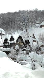 a house is covered in snow in front at Son Mandrivnyka in Rakhiv