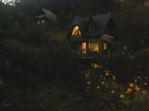 a house at night with its lights on at Son Mandrivnyka in Rakhiv