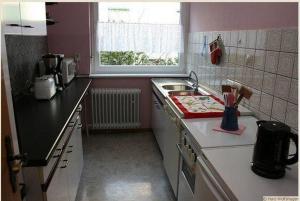 a small kitchen with a sink and a window at Haus-Schneider-grosse-Ferienwohnung in Wolfshagen