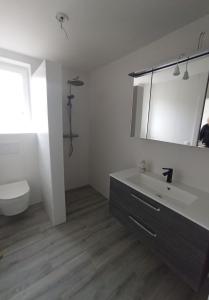 Bany a Ferienwohnung Aflenz
