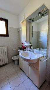 a bathroom with a sink and a toilet and a mirror at Bosco Di Lago in Solto Collina