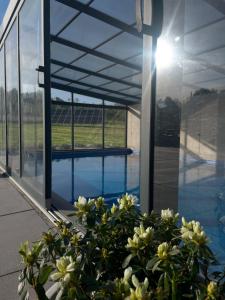 a view of a swimming pool from inside a building with flowers at Domek z bali in Wojcieszyce +29 photos