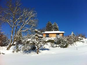 a house in the snow with a tree in front at Weitblick am Mangfalltal in Feldkirchen-Westerham +66 photos