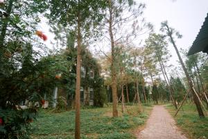 a dirt road in the middle of a forest at Veco Pine in Thạch Cầu +61 photos