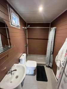 a small bathroom with a toilet and a sink at Paulownia Garden in Mtskheta