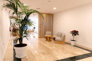 a waiting room with a potted plant and chairs at Complejo BLUESEA Puerto Resort compuesto por Hotel Canarife y Bonanza Palace in Puerto de la Cruz