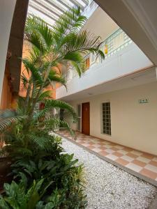 a hallway with a palm tree in a building at Hotel Terranova SM in Santa Marta
