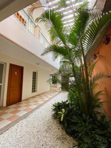 a palm tree in a hallway with a building at Hotel Terranova SM in Santa Marta