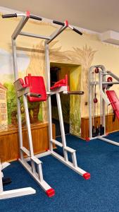 a gym with two tread machines in a room at Відпочинковий - комплекс '"Замок Лева"" in Peremyshlyany