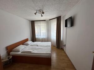 a bedroom with a bed and a television in it at Casa Bașu in Băile Herculane