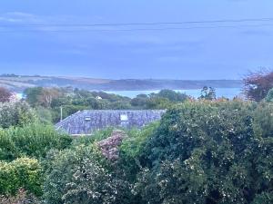 a group of green plants and trees with a body of water at Timbers in Truro
