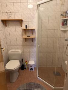 a small bathroom with a toilet and a shower at Sissels Guesthouse in Andøya