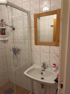 a bathroom with a sink and a shower at Sissels Guesthouse in Andøya