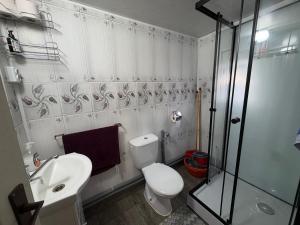 a bathroom with a toilet and a sink and a shower at Cabana Buta in Dumeşti