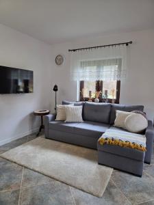 a living room with a blue couch and a window at Jagodowa Czulnia in Zwierzyń