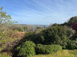 a hill with bushes and a road in the distance at Timbers in Truro