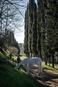a man standing next to a white horse in a field at Fattoria La Loggia in San Casciano in Val di Pesa +34 photos