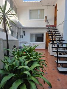 a living room with a staircase and some plants at Anys Hostal in Mexico City