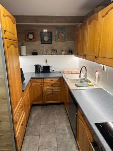 a small kitchen with wooden cabinets and a sink at Chata Na Pasekách in Rajnochovice