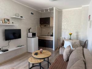 a living room with a couch and a table at Apartmani Vučinić in Cetinje