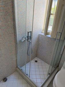 a bathroom with a shower with a glass door at PALIO LIMANI APARTMENTS in Spetses +24 photos