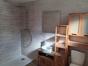 a bathroom with a shower and a toilet and a sink at L'escale de Blacourt in Blacourt
