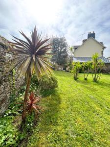 a palm tree in a yard next to a house at Maison Suzanne, Downtown, 6 Guests in Cancale