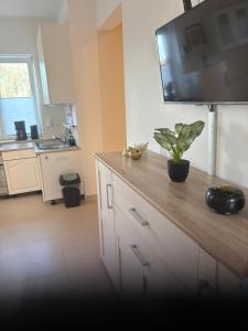 a kitchen with a counter with a potted plant on it at Landglück in Ibbenbüren +3 photos