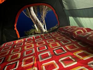 a close up of a bed in a tent at Camping Aquariumm in Himare +35 photos