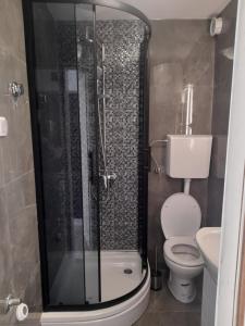 a bathroom with a toilet and a glass shower at Goga2 in Pirovac