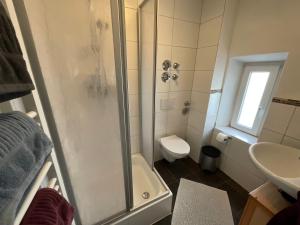 a bathroom with a shower and a toilet and a sink at Ferienwohnung historisches Teisendorf in Teisendorf +10 photos