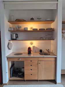 a kitchen with a counter with a sink and shelves at Ferienwohnung Theresia in Laufen