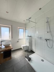 a bathroom with a shower and a toilet and a sink at Ferienwohnungen Haus Jose in Cochem +67 photos