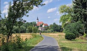 a person riding a bike down a road at ElbUfer Glück in Schieritz