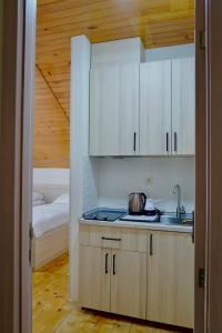 a kitchen with a sink and a bed in a room at Ferre Hotel Shekvetili in Natanebis Sadguri