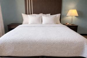 a large white bed in a hotel room at Village Inn & Suites in Sarnia