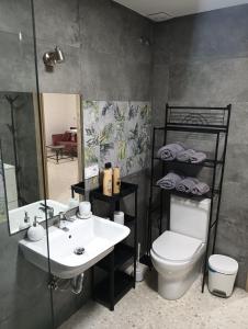 a bathroom with a sink and a toilet and a mirror at Ágora House Alcalá de Guadaira 2 in Alcalá de Guadaira