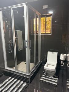 a bathroom with a shower and a white toilet at Sazeesha Apartments in Ndola