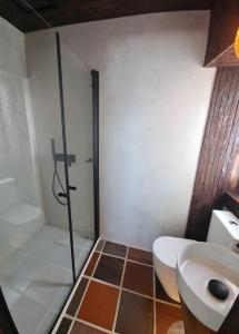 a bathroom with a shower and a toilet and a sink at Casa das Marés 3 in Baleal