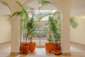 a row of potted plants in a room with columns at Karen Plains Hotel Nairobi in Nairobi
