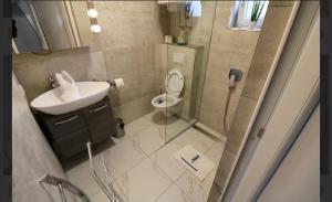 a small bathroom with a toilet and a sink at KK Vip Apartment in Palić +24 photos