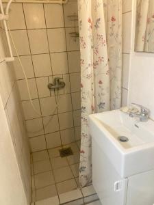 a bathroom with a sink and a shower at Skovhus 2-room Basement Apartment in Aarhus +18 photos
