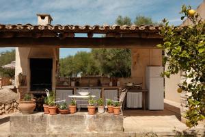a group of potted plants sitting on a patio at La Molina Mallorca in Felanitx