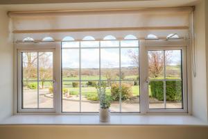 a window with a vase on a window sill at Hillside House- Pine View in Ballinamuck