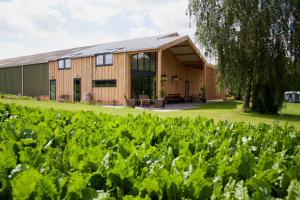 Zahrada ubytování Klein-Amerika