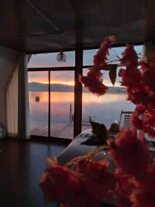 a cat sitting on a bed in a room with a view of the ocean at Jutma Titicaca Lodge in Puno