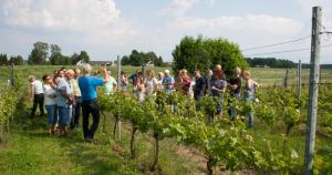 Hosté ubytování Klein-Amerika