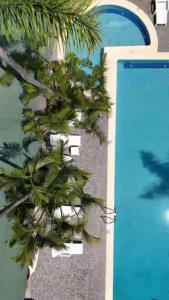 a view of a palm tree next to a pool at Gamma Cuernavaca Puerta Paraiso in Cuernavaca +66 photos