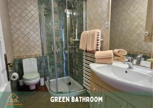 a bathroom with a sink and a shower and a toilet at Pardubsky Apartments in Ljubljana